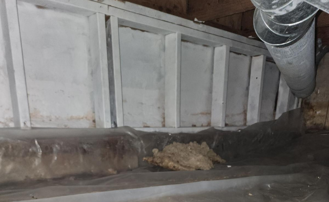Apex Water Repair 10