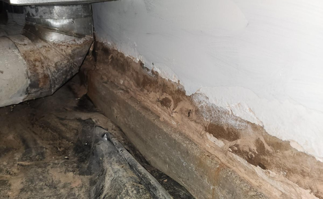 Apex Water Repair 12