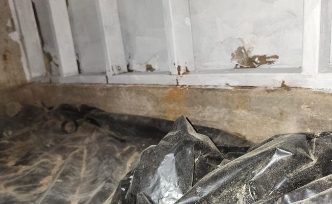 Apex Water Repair 13
