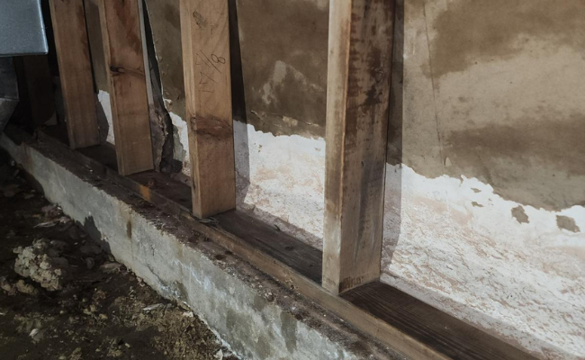 Apex Water Repair 2