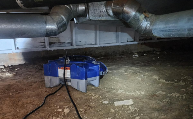 Apex Water Repair 5